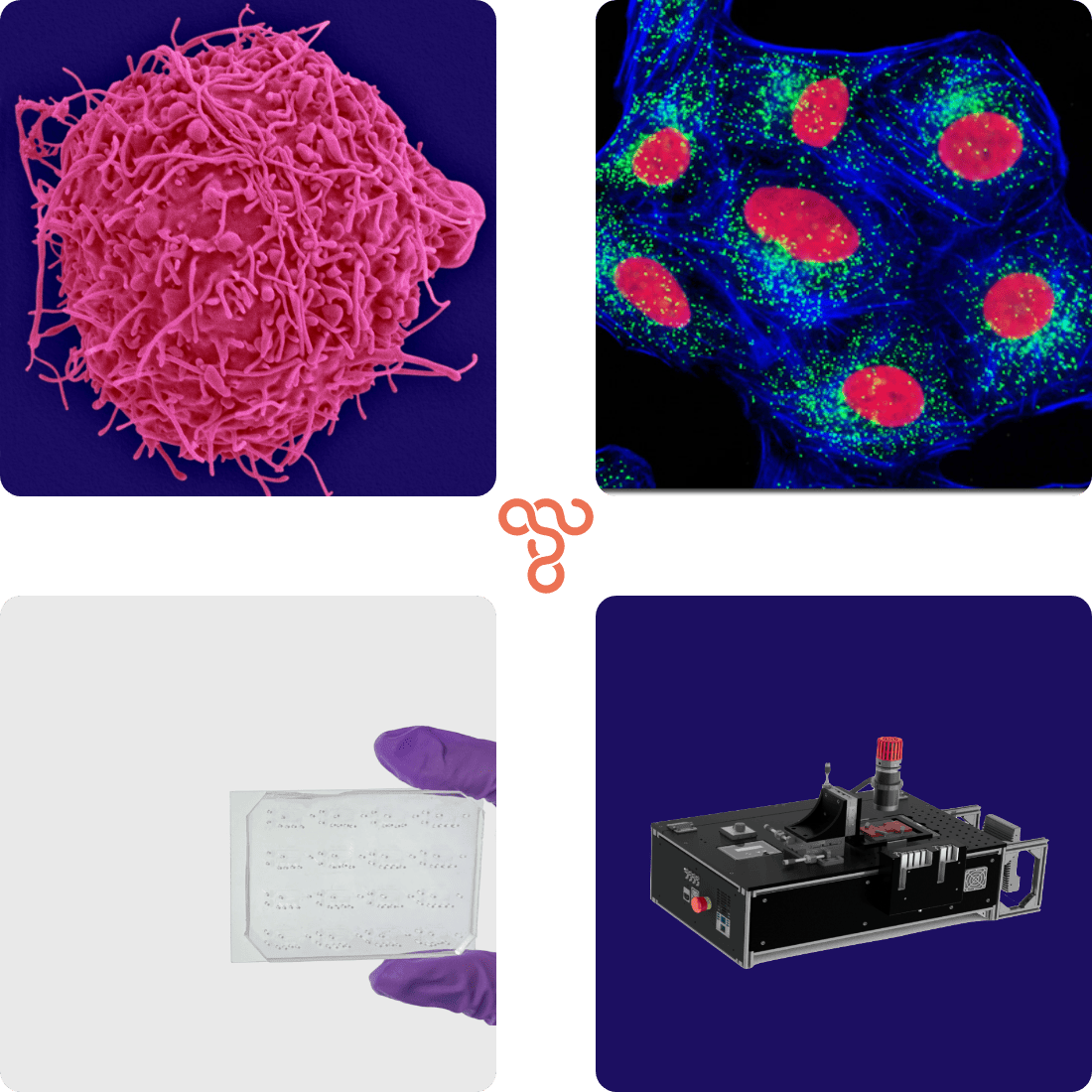 Four images (from left to right) Cho Cell, fluorescent cells, microfludics chip, benchtop unit